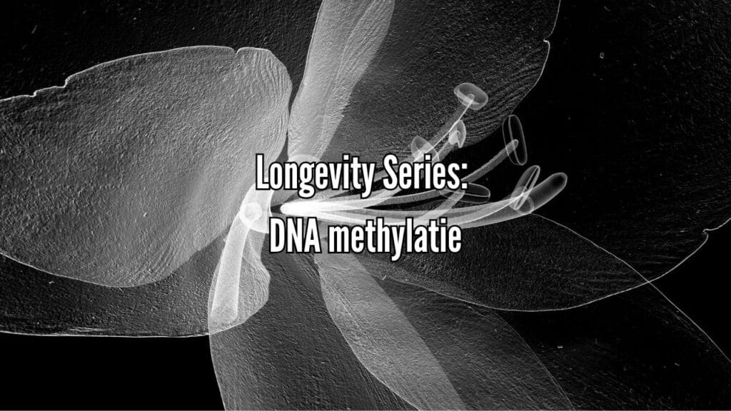 Longevity Series: DNA Methylatie