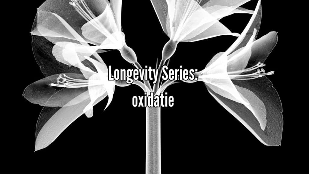 Longevity Series: Oxidatie